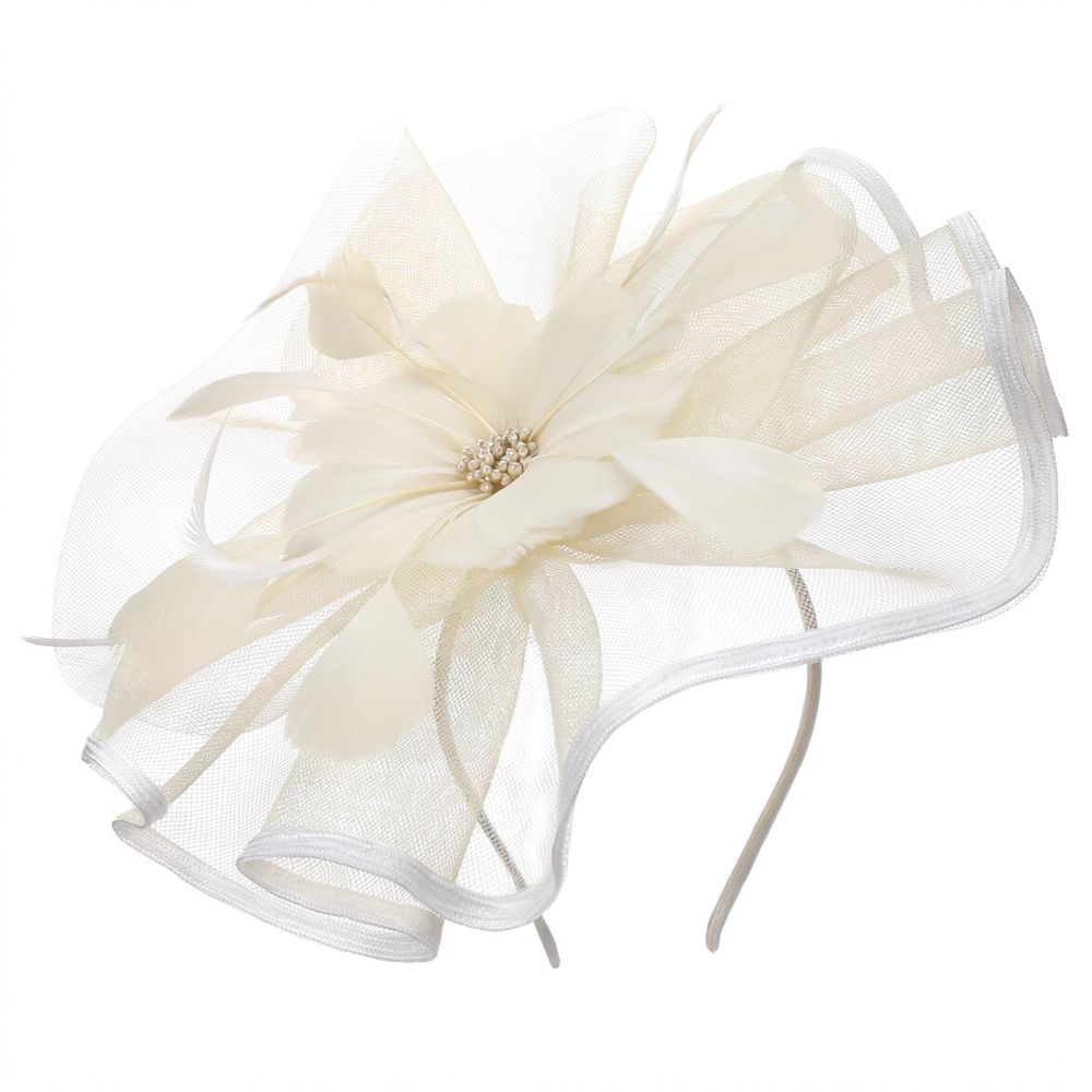 Fashion Mesh Feather Hair Acce - Women'S Fashion Kentucky Derby 评论和价格